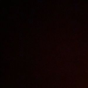 Meet your Posher, Ernesto